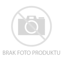 Powieść ,,W pogoni za miłością