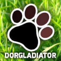 DOR GLADIATOR
