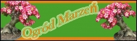 ogrodmarzen