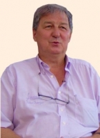 hippocomos.pl