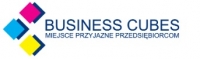 Business Consulting